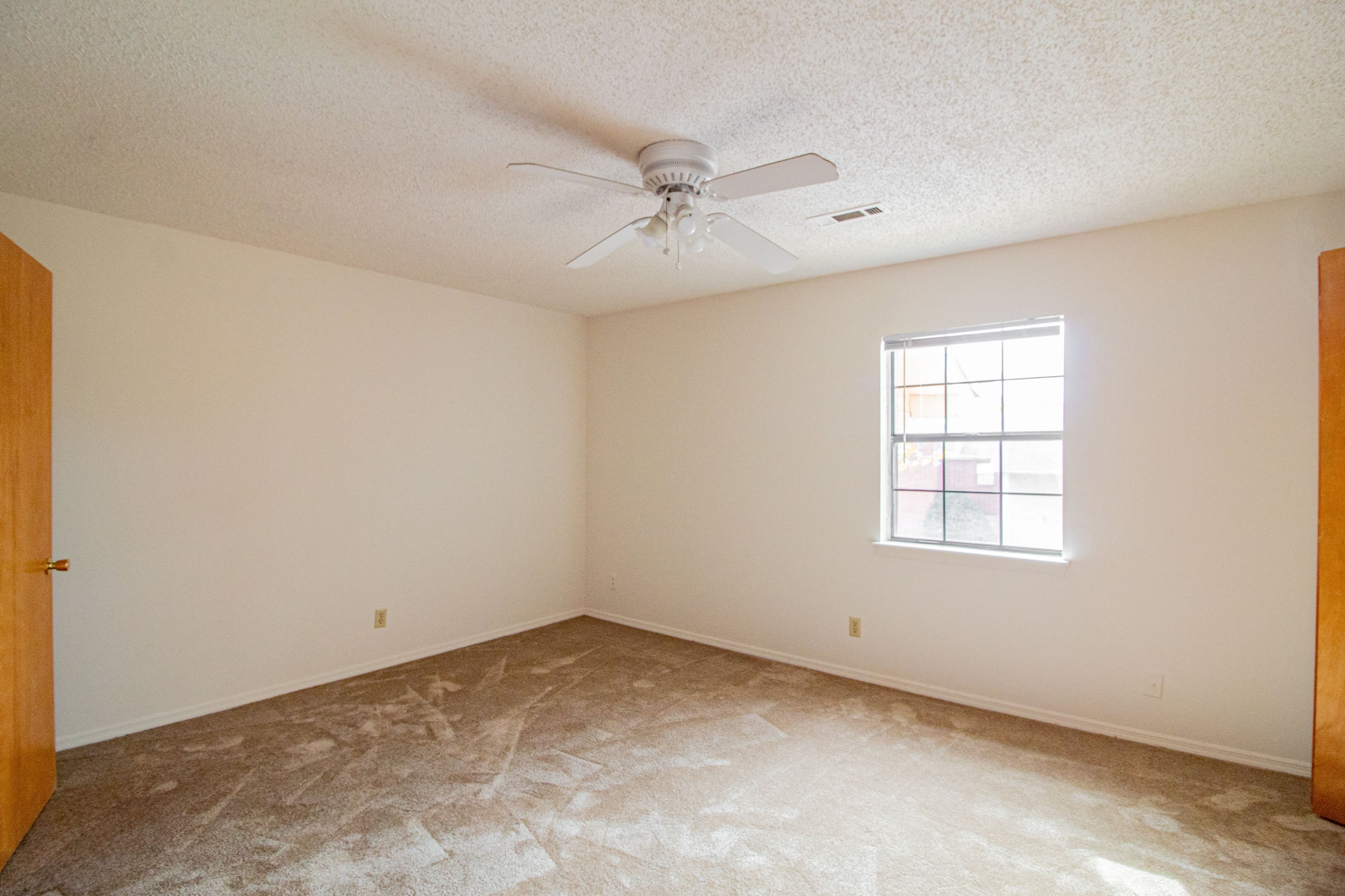 Gallery Photo 6
